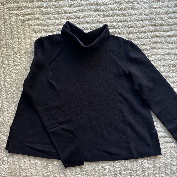 COS Sweaters - COS Turtleneck Sweater